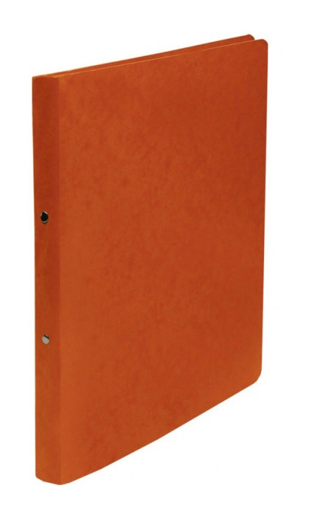 Pořadač 2-kroužkový A4 16 mm prešpán oranžový