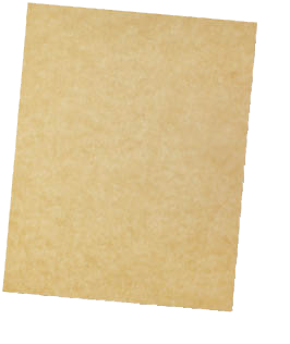 Pečící papír 38cm x 50m