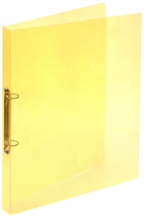 Pořadač 2-kroužkový A4 PP transparent žlutý
