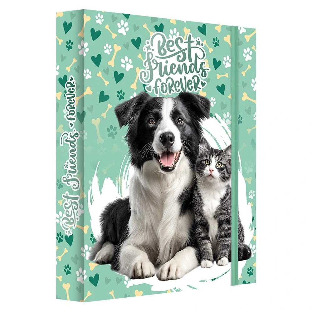 Box na sešity A4 Jumbo MAX S9 Best Friends Forever