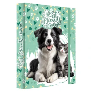 Box na sešity A4 Jumbo MAX S9 Best Friends Forever