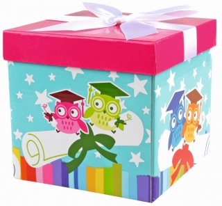 Dárková krabička sova s mašlí S 12x12x12 cm